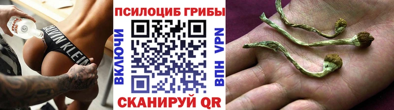 Галлюциногенные грибы прущие грибы Купить Пыть-Ях